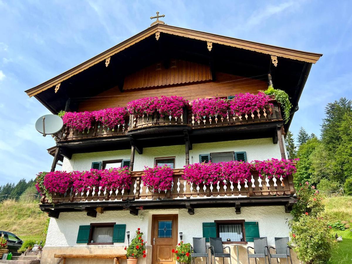 Appartement Sunnseit - Kitzbueheler Alpen Sankt Johann in Tirol Dış mekan fotoğraf