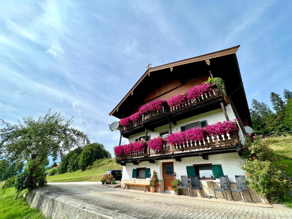 Appartement Sunnseit - Kitzbueheler Alpen Sankt Johann in Tirol Dış mekan fotoğraf