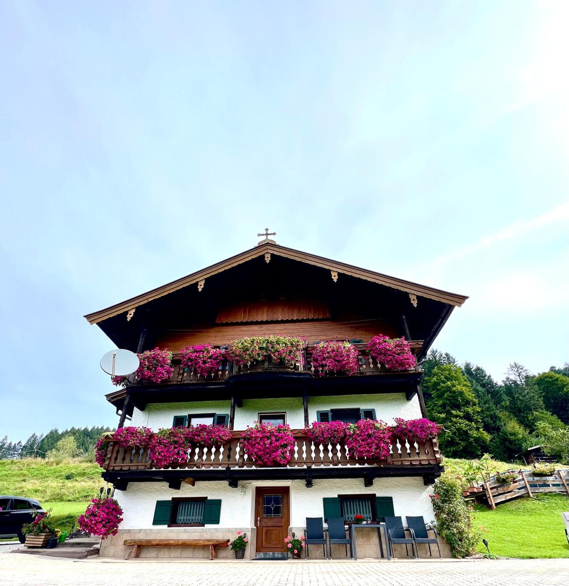 Appartement Sunnseit - Kitzbueheler Alpen Sankt Johann in Tirol Dış mekan fotoğraf